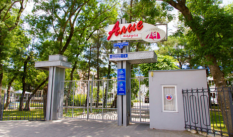Алые паруса