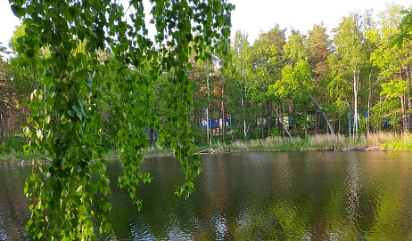Бережок