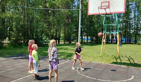 Чайка (Байкал)