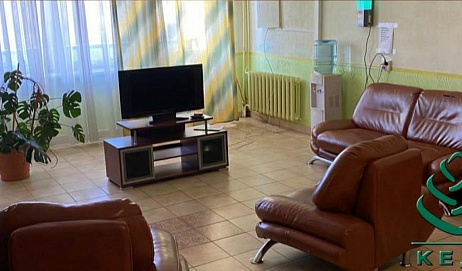 Кедр