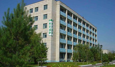 Кедр